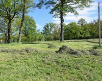 hofnahes Weideland