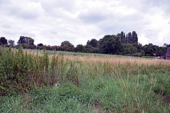 Heute an Morgen denken - Interessante Grundstücksfläche mit Zukunft in 41334 Nettetal-Kaldenkirchen