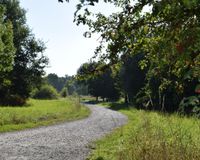 Wanderweg direkt vor der Haustüre
