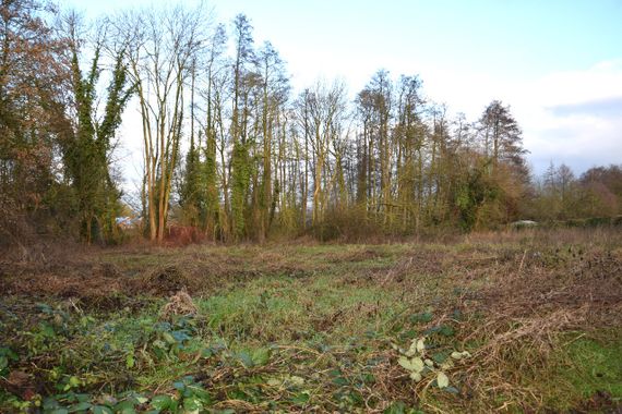 Großzügiges Baugrundstück in naturnaher und familienfreundlicher Wohnlage von 41334 Nettetal-Breyell