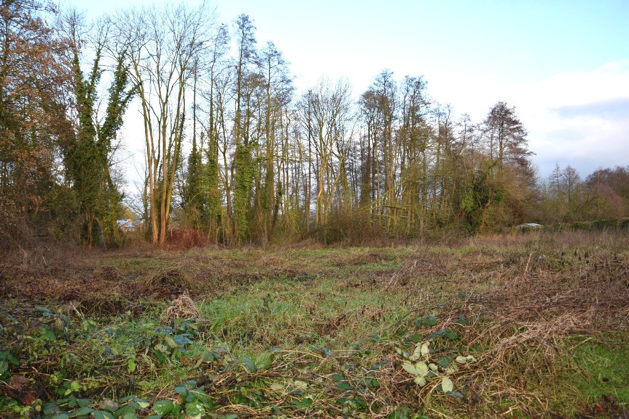 Großzügiges Baugrundstück in naturnaher und familienfreundlicher Wohnlage von 41334 Nettetal-Breyell